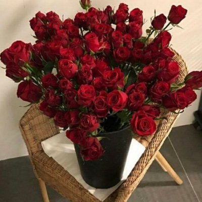 MahdiGaida's profile picture. 