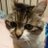 kinki_244501