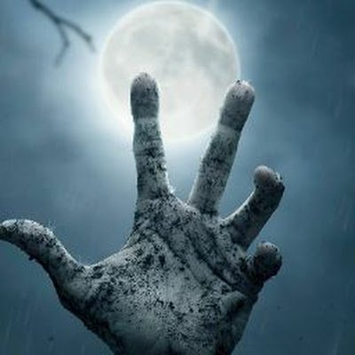 TerrorbyteMr's profile picture. 