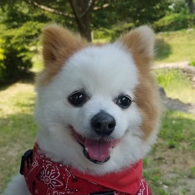 by_misao's profile picture. 【職業】#ダンプ女子
【趣味】#ガーデニング #工作

【取得資格】
① #医療事務 (医)
② #自動車免許(中・大)
③HAM #無線技士 (4級)
④F. #リフト従事者
⑤M・O・S
⑥ #アロマ音叉 #セラピスト
❤魂の結び❤#中島みゆき