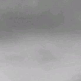 sssdrbmdcbbx's profile picture. 