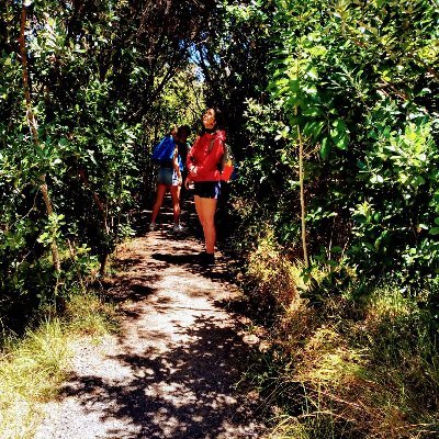 debbiehouse's profile picture. Wellington City Libraries - Te Matapihi Ki Te Ao Nui