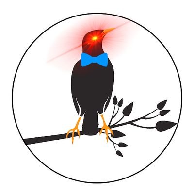 bowtiedmynah Profile Picture