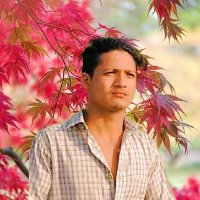 🦋𝒅𝒉𝒂𝒏𝒔𝒊𝒏𝒈𝒉 𝑻𝒉𝒂𝒑𝒂🦋 (@dhansinghthap19) 's Twitter Profile