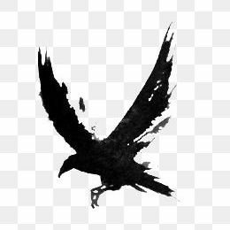 yamamo_sikkoku's profile picture. よろしくです！