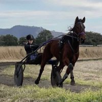 AmyCargill (@amycargill1) 's Twitter Profile