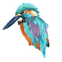 BowTiedKingfisher (@bowkingfisher) 's Twitter Profile