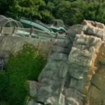 mrsyayonggg's profile picture. M.Y-LABELm