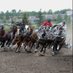 Circlemstablesracing (@circlemstables) Twitter profile photo Circlemstablesracing (@circlemstables) Twitter profile photo