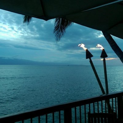 DMM91547071's profile picture. 