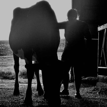 Appreciate high quality cows, the Jays, and my boyfriend.
Cape Breton Island 🇨🇦