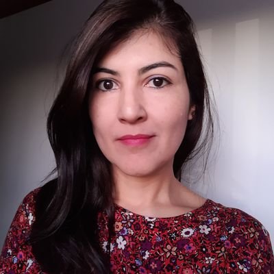 Lic. en Comunicación Social y Periodista. Directora de Prensa en Facultad de Ingeniería - UNLP.