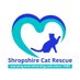 Shropshire Cat Rescue (@ShropsCatRescue) Twitter profile photo