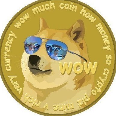 Doge life. Dogearmy member. Doge ambassador. D.R.E.A.M. Doge rules everything around me. #dogecoin #ipumpidontdump