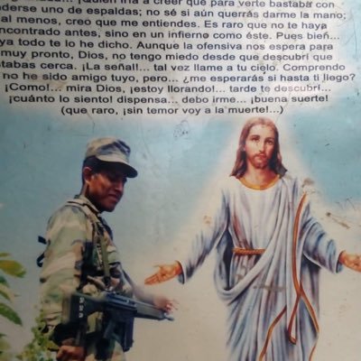 TomasMo11179273's profile picture. 