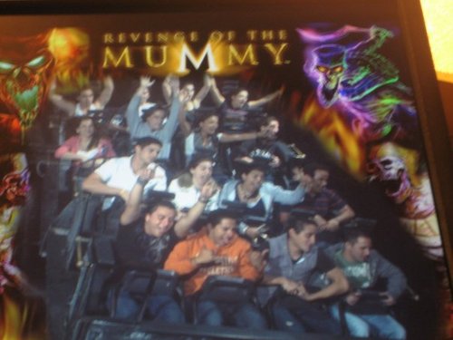 humbermarti's profile picture. Amante de los deportes y los videojuegos, Leones del Caracas y Real madrid