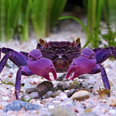 見る専ですが 最近 利用頻度が増えてきました 覚える事だらけなので粗相があるかもですが 広い心でお願いします