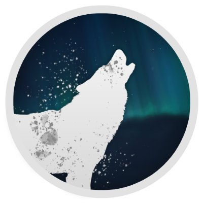 Northern Lights is a first-person arctic survival game set in modern Siberia - Now on STEAM