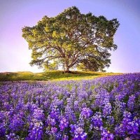 Helen (@helen20136579) 's Twitter Profile Photo