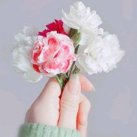 Sara Khaled (@sarakha32274122) Twitter profile photo