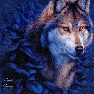 paoletto27's profile picture. 