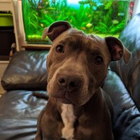 StanleyEast (@stanleyeast5) 's Twitter Profile