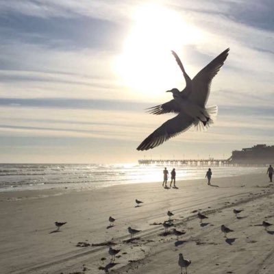 Ebtehal_MM's profile picture. 