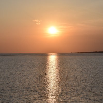 mmm_xoxo03's profile picture. お酒/煙草/ダーツ/apex