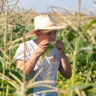 TerraPreta8's profile picture. Writer. Former reporter @vineyardgazette