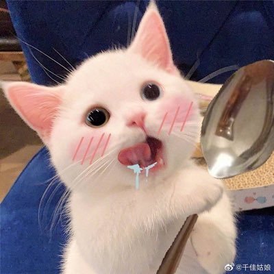 xixiさんのプロフィール画像