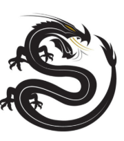 Black Dragon Capital℠ (“BDC”) is a high-performing private equity firm founded and led by a diverse manager and team with outstanding track records.