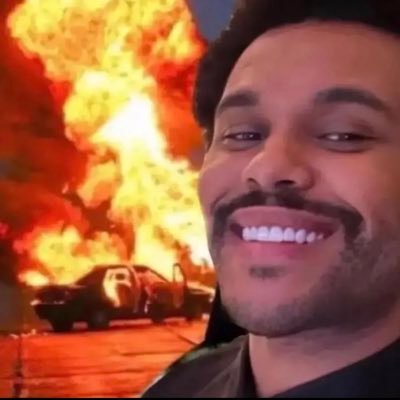 pigscanfly___'s profile picture. :)