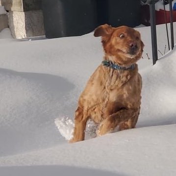 doge_muffin's profile picture. Bronsexual. 1x Esposito Invitational Champion