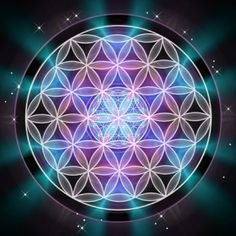 LionKalahari's profile picture. #Taurian bull  Artist, Dreamer. Futurist... Realist. Awake. This will be my breath on this mad planet.....🐸