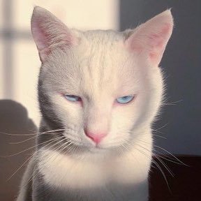 sznadm's profile picture. my embarrassing moment