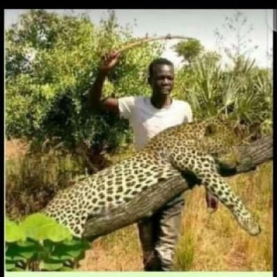 Kwizera888's profile picture. Trader