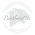 PACT Pantherettes Dance Team (@pantherettesdt) Twitter profile photo