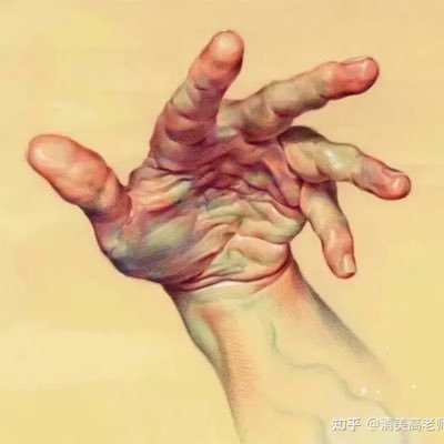 Chenche44900768's profile picture. 