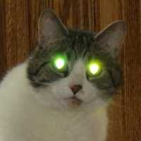The Pseudo-Method.eth (@ethpseudo) 's Twitter Profile