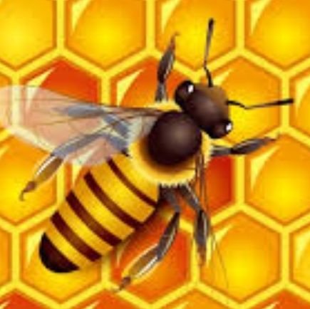 Beeznee54678164's profile picture. Not always sweet, but tells it like it is.