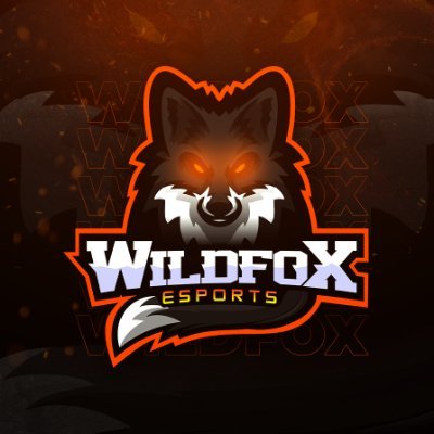 Wild Fox e-Sports