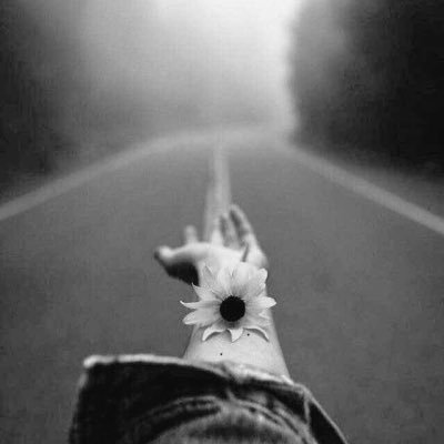 LmaStone's profile picture. .. لولا فسحة الأمل