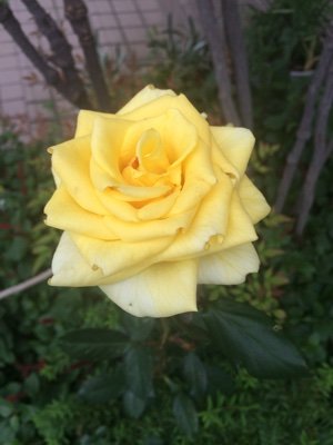 tR9Wk4Kj4p263vV's profile picture. 