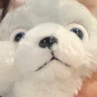 ｻﾞｸﾛ🐺 (@za_kku124) Twitter profile photo