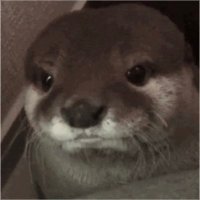 fadanator (@fadanator1) 's Twitter Profile