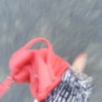 Lucette (@lucette94733905) 's Twitter Profile