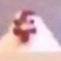 DarylRblx's profile picture. stealer of profile pictures