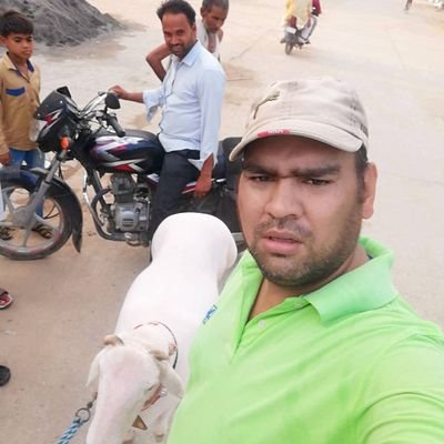 Mohdtamrezgmai1's profile picture. 