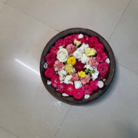 Dy. Commissioner Kukatpally (@dc_kukatpally) 's Twitter Profile Photo Dy. Commissioner Kukatpally (@dc_kukatpally) 's Twitter Profile Photo