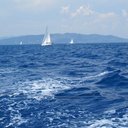 Lorraine Allen - @LorraineAllen2 - Twitter